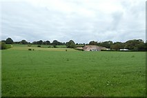 WV6252 : Farmland near La Rue des Corvees by DS Pugh