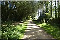 WV6150 : Cycle path to the coast by DS Pugh